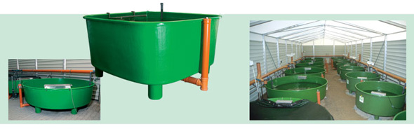 GFK Rearing Tanks and Basin